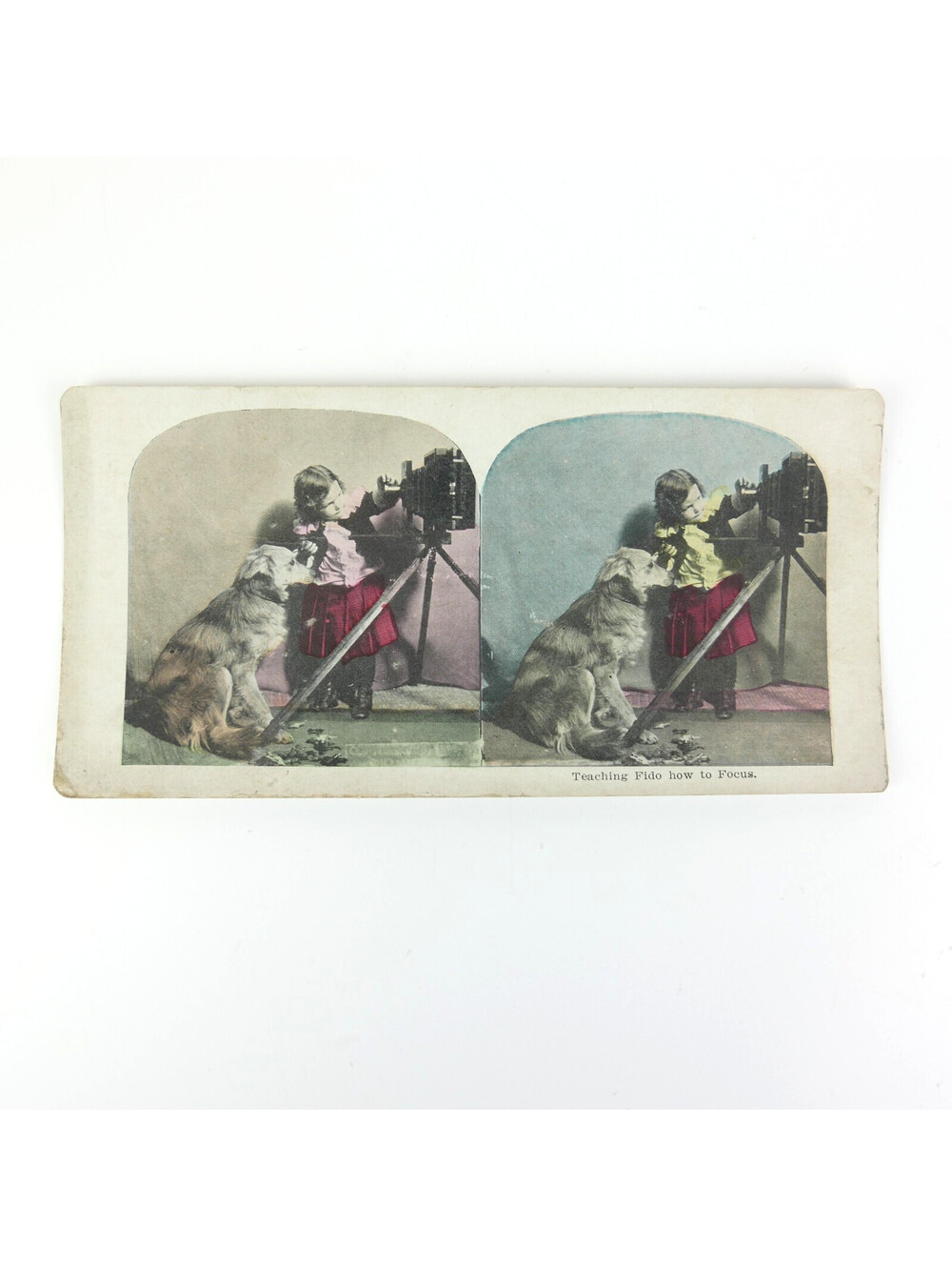Antique Stereoview Card Teaching Fido How to Focus Child Dog Photo Stereograph